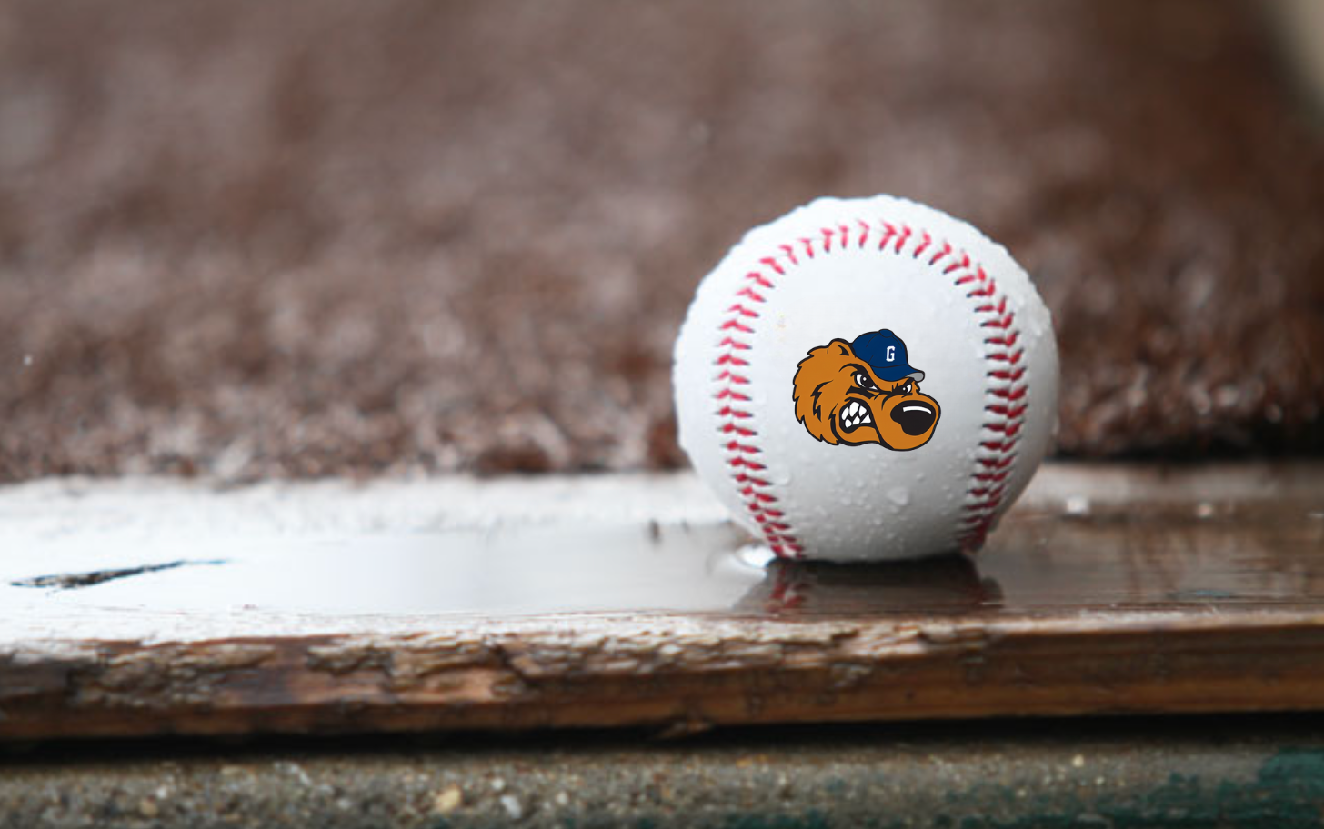 Grizzlies Game Postponed in Evansville